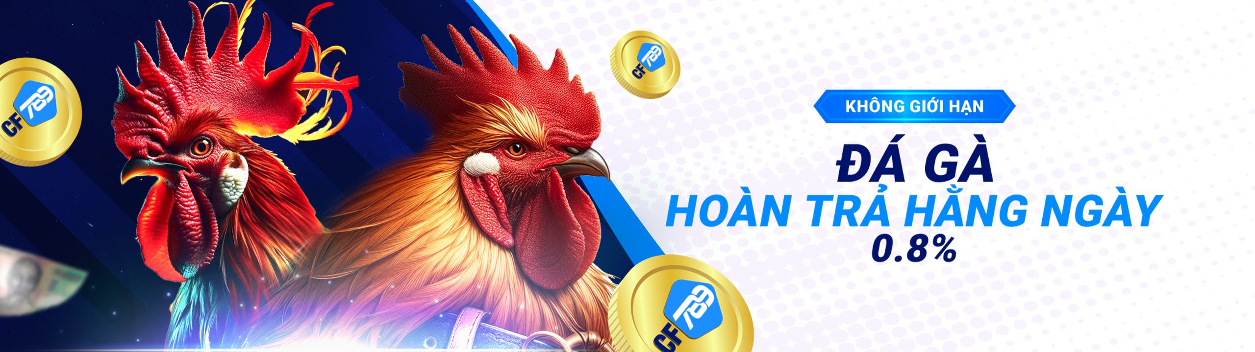 CF789_VN_-DailyRebate_SEO_Main-Banner-Desktop